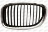 PRASCO BM1012004 Radiator Grille